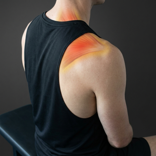 Neck & Upper Back