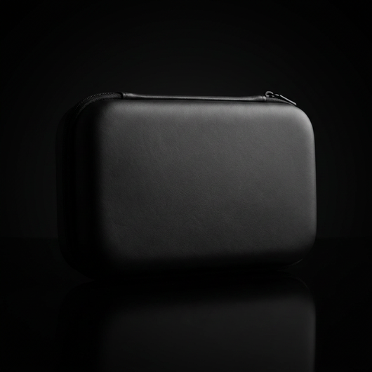 The Corvyn Travel Case